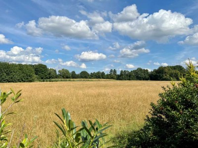 Tolle Lage! Ein- bis Zweifamilienhaus mit Photovoltaikanlage in zentraler und grüner Lage von Verl!