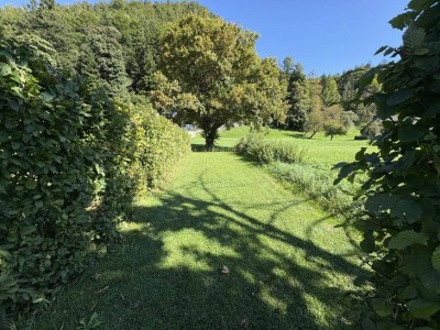Wohnung - Familienglück mit Eigengarten