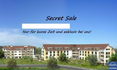 SECRET SALE!! Zwei Reihenhäuser mit Garage, Sommerküche/ WC/  und großem Grundstück in Hockenheim