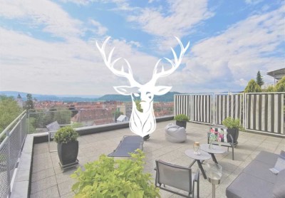 Traumhafte Design-Wohnung mit einzigartiger Terrasse und einem grenzenlosen Ausblick über Waldshut