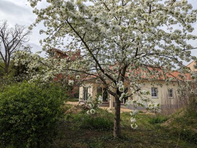 Neubau Erstbezug Winkelbungalow in Potsdam Teltower Vorstadt