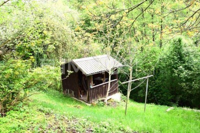 Renovierungsbedürftige Villa mit Riesenpotenzial Urfahr-Auberg