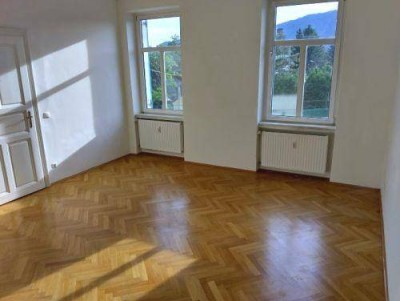 GEIDORF: Sonniger 1 ZIMMER-Altbau + extra Küche möbliert + Bad mit Dusche und WC + nähe HTL-Ortwein!