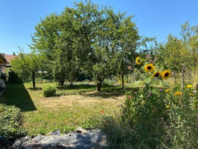 Einzigarte 4-Zi-Wohnung inkl. 600qm Garten, frisch renoviert, ggf. Teilmöbliert