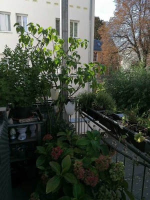 Sehr schöne 3-Raum-Wohnung mit Balkon in der Innenstadt absolute Zentrumslage