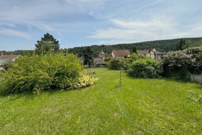 Viel Grün in Bad Dürkheim-Seebach - Einfamilienhaus mit Einliegerwohnung und tollem Grundstück