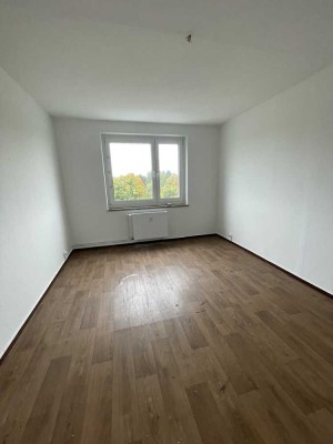 **Helle 4-Raumwohnung für Familien**