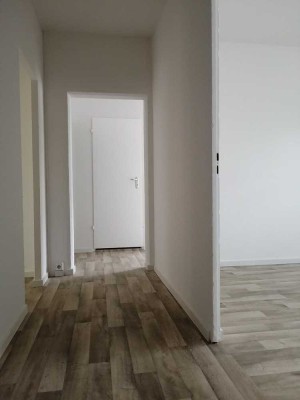 Renovierte helle 3-Zi.-Wohg. mit Balkon in Walddrehna