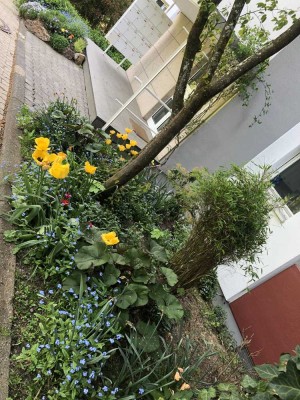 Helle 3-Zimmer Wohnung mit Balkon im 5. OG in Eppstein