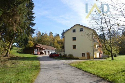 Landwirtschaftliches Anwesen mit großer Wiese, Mehrparteienhaus und vielem mehr