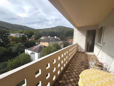 "NEUER PREIS" 3 ZIMMER WOHNUNG MIT LOGGIA UND GRÜNBLICK