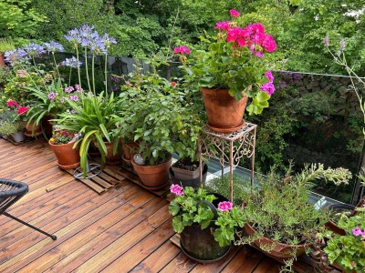 In bester Lage - Nähe Botanischer Garten -sehr schöne, sorgfältig renovierte Altbauwohnung