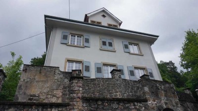 USAG Baumholder: core renovated historic villa - choose 1 of 3 apts. or  whole house - apt no 2