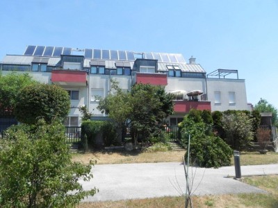 Sonnige Balkon Wohnung in Achau / Bez. Mödling