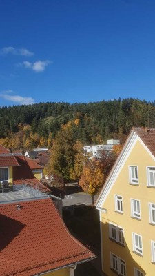 Schöne Wohnung für 1 Person in Tuttlingen Möhringen