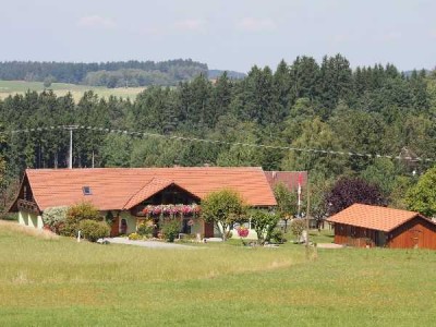 Wohnen in grüner Umgebung. DDH in Alleinlage.
