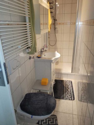 1 - Zi- Wohnung renov., möbil. in Giengen / Brenz an Pendler/in ab 15. 05. 25 zu verm.