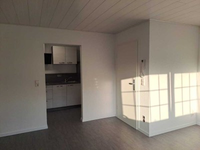 Erstbezug nach Sanierung mit Einbauküche: Geschmackvolle 1-Raum-EG-Wohnung in Friesenheim