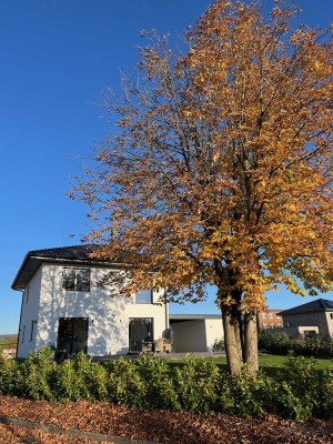 Modernes freistehendes Einfamilienhaus in Brakel – Erstbezug in grüner Lage