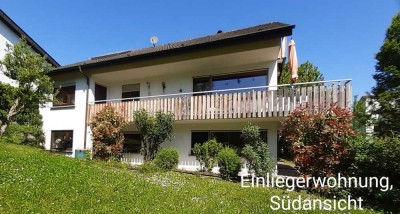 Renovierte Einliegerwohnung Neckarsulm-Dahenfeld