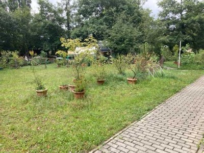 Ideal für Singles und Paare! 2-Raumwohnung in liebevolle Hände abzugeben.