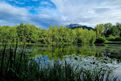 Gepflegtes Haus mit 3 Wohnungen in absoluter Ruhelage in Gmunden!