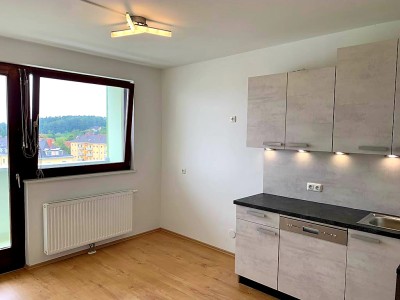 Top renovierte Wohnung mit Süd-Ost-Ausrichtung