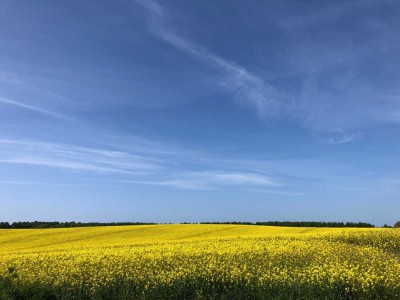 Endlich zu Hause - Nahe Malchow und Fleesensee