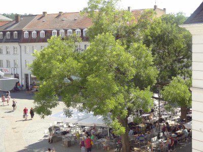 Helle 3-Zimmer-Wohnung in der Innenstadt