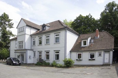 Helle großzügige Dachgeschoßwohnung mit Garten