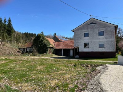 Ehem. Hofstelle mit Wiese und Gehölz, ca. 6590m² bei Rain - Ortsteil