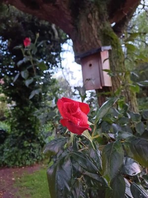 Exklusiv ausgestattete Wohnung in ruhiger und angenehmer Lage!