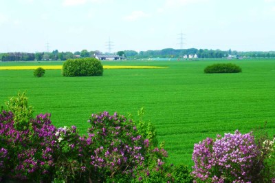 3-Zimmer-Wohnung mit sehr schöner Aussicht