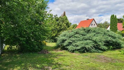 Zu sanierendes Einfamilienhaus im Osten von Halle mit großem Grundstück