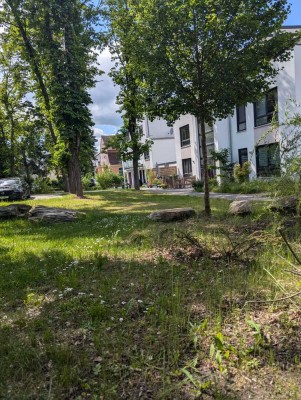 Attraktive 4-Zimmer Wohnung mit Balkon in Halle (Saale) - Kröllwitz