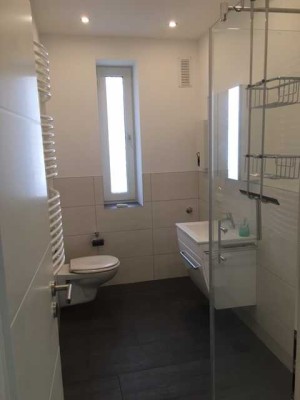 Schöne komplett renovierte 3 Zimmer-Wohnung