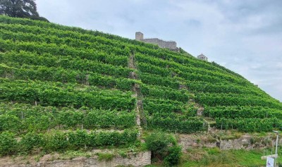 Charmante Doppelhaushälfte mit traumhaftem Weinbergblick
