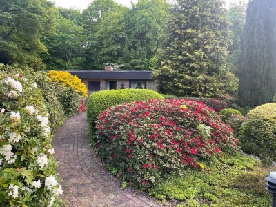 Einfamilienhaus mit Parkgrundstück