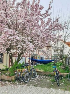 Single/Paarwohnung im Weender Altdorf
