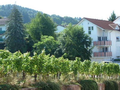 Schöne 4 Zi. EG.Whg. in Sinzheim-Vormberg. Ruhige, halbhöhen Randlage mit Blick in die Weinberge.