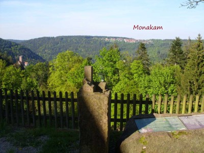 Schöne 2-Zimmer-Terrassenwohnung mit  Einbauküche in Bad Liebenzell