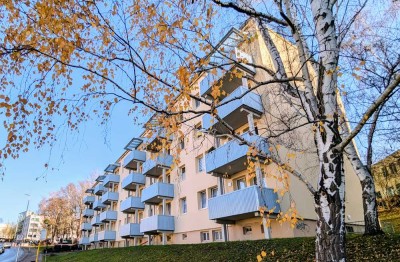 Frisch saniert schon probiert? 3-Raumwohnung mit schönem Ausblick