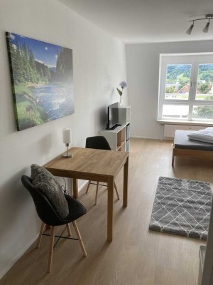 Frisch saniert, vollmöbliert, Dachterrasse, Fitnessstudio inklusive - Ihr Apartment zum wohlfühlen