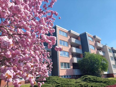 helle und großzügige Wohnung mit Balkon