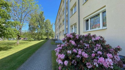 � Frisch renovierte 2-Raumwohnung mit EBK in Bad Lausick