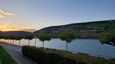 Gemütliche Wohnung mit Panoramablick auf den Rhein