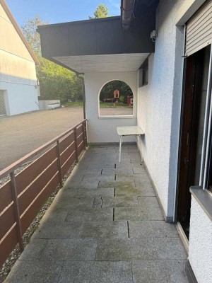 Sonnige 1 Zi Wohnung mit Terrasse