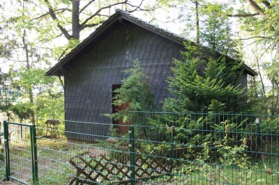 Waldhaus in Alleinlage