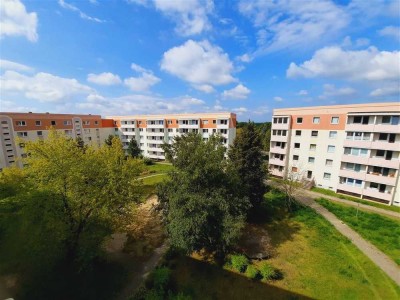 helle 3 Raum Wohnung sucht neuen Mieter