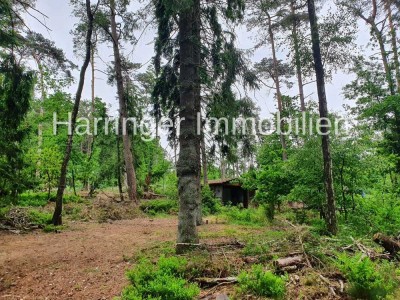 Pachtgrundstück mit sanierungsbedürftigen Haus